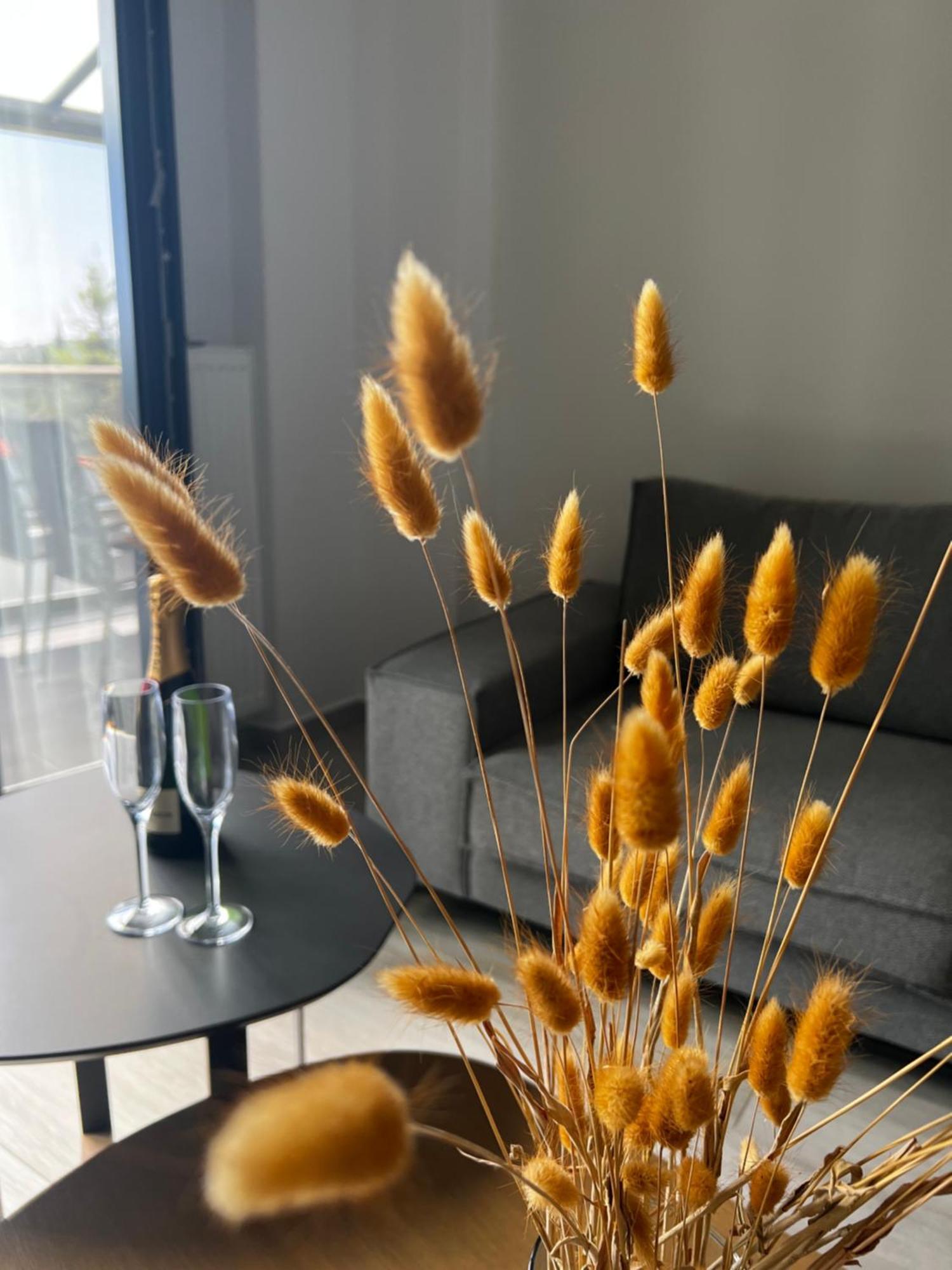 L&S House Apartment Nikiti  Ngoại thất bức ảnh